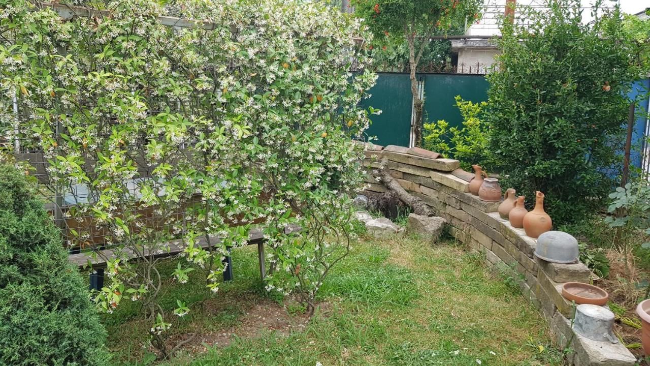 Гостевой дом Guest house Khomli Кутаиси-15